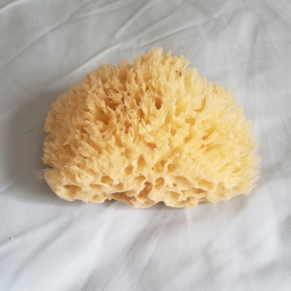Natural Sponge
